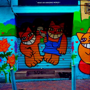Mur et persienne recouverts de street-art représentant des chats - France  - collection de photos clin d'oeil, catégorie streetart